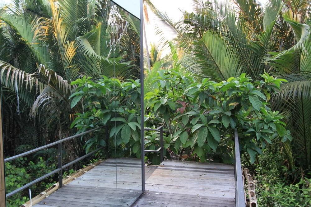 Bangkok Tree House Bang Kachao Ξενοδοχείο Εξωτερικό φωτογραφία
